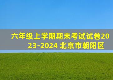 六年级上学期期末考试试卷2023-2024 北京市朝阳区